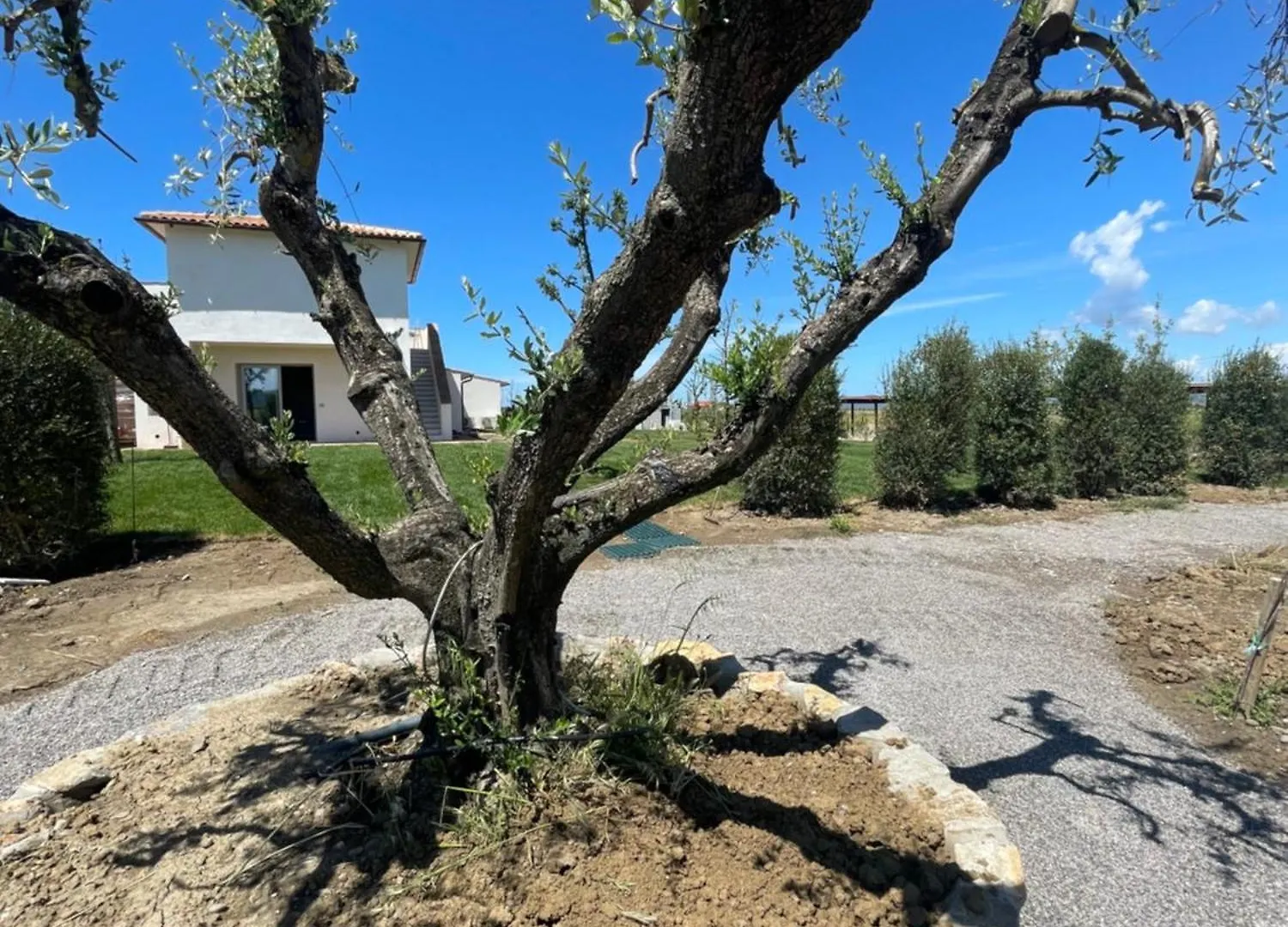 Farm stay Radicata Tuscany Relais Albinia